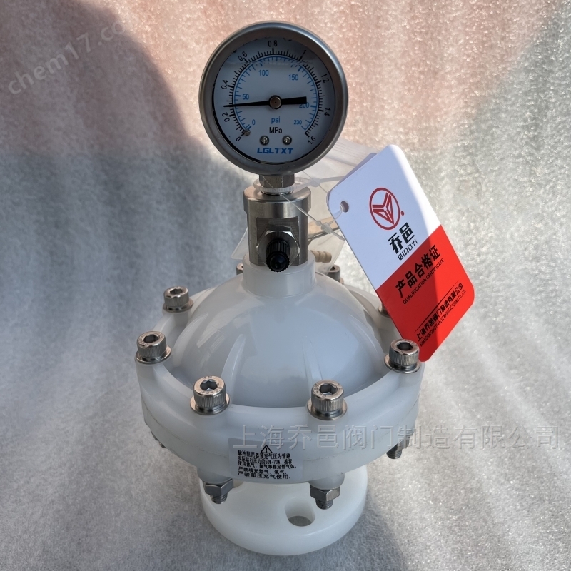 LGMZ-V0.35L膜片式脈沖阻尼器PVDF LGMZ-V0.35L膜片式脈沖阻尼器PVDF