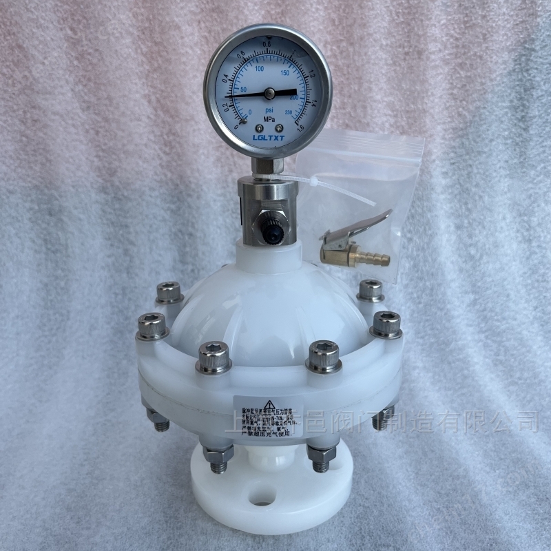 LGMZ-V0.35L膜片式脈沖阻尼器PVDF LGMZ-V0.35L膜片式脈沖阻尼器PVDF