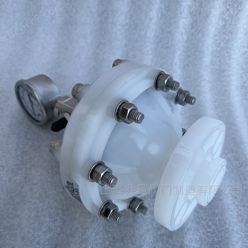 LGMZ-V0.35L膜片式脈沖阻尼器PVDF LGMZ-V0.35L膜片式脈沖阻尼器PVDF