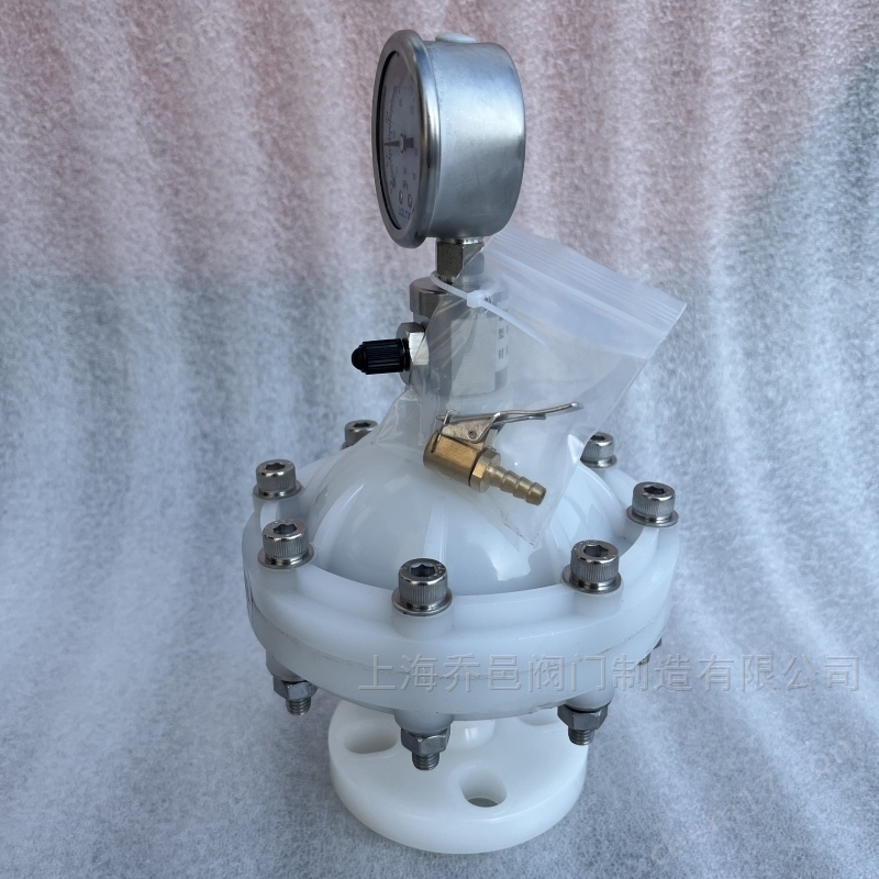 LGMZ-V0.35L膜片式脈沖阻尼器PVDF LGMZ-V0.35L膜片式脈沖阻尼器PVDF