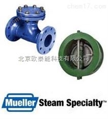 Mueller Steam Specialty過濾器