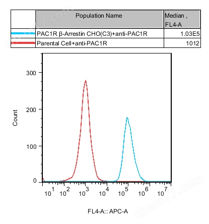 PAC1R β-Arrestin CHO