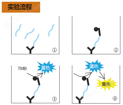 β-Amyloid ELISA 試劑盒