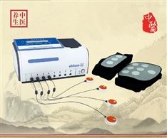 eMoxa-Ⅲ型電子多功能艾灸治療儀艾灸儀