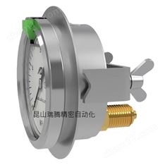 ASK嵌入型壓力表OPG-DT-R1/4-60X0.6MPa-B