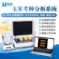 玉米考種分析系統實粒種子整穗截面分析儀