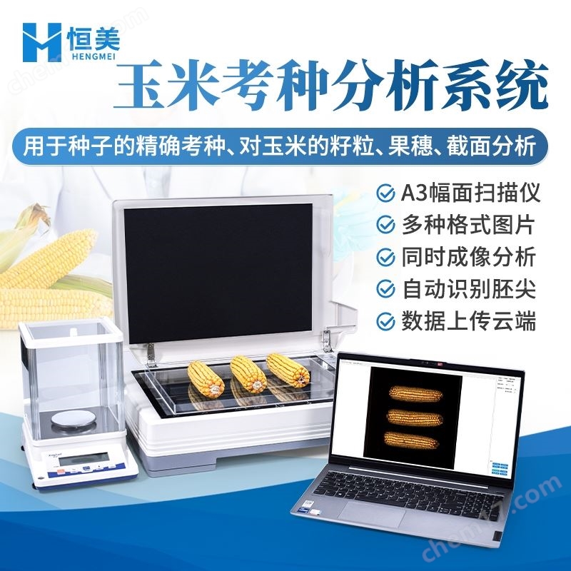 玉米考種分析系統(tǒng)實粒種子整穗截面分析儀