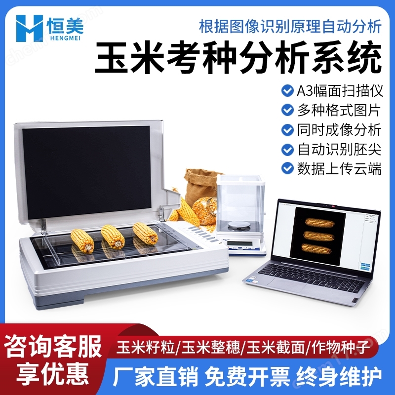 玉米考种分析系统实粒种子整穗截面分析仪