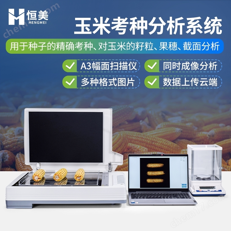 玉米考种分析系统实粒种子整穗截面分析仪