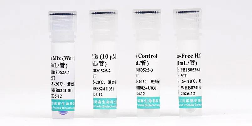 普諾賽®支原體快速檢測(cè)試劑盒新品上線！