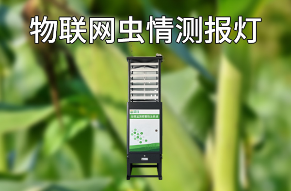 自动识别，实时预警，物联网虫情测报灯助力田间生产