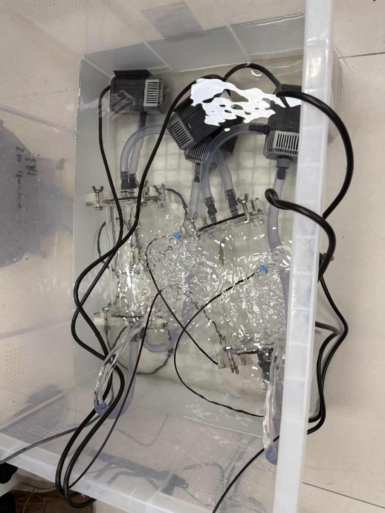 水生物呼吸代谢测量系统培训—上海海洋大学