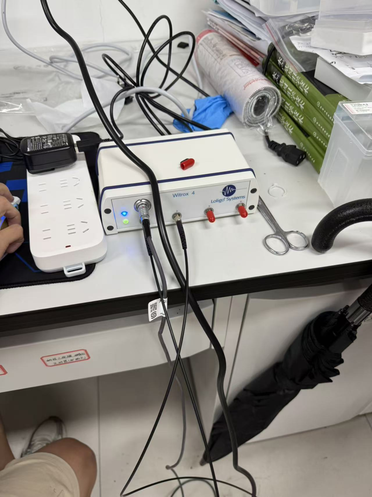 水生物呼吸代谢测量系统培训—上海海洋大学
