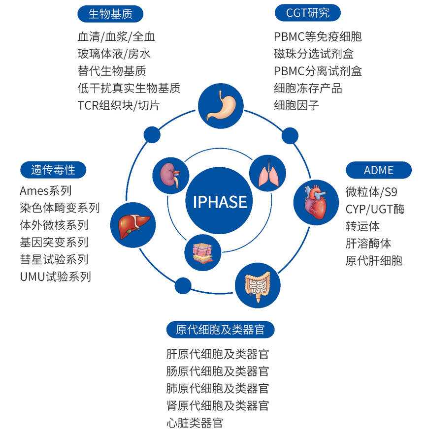 腎小球上皮細胞：腎病藥物研發的“黃金靶點