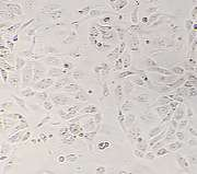 圖片2.png 圖片2.png