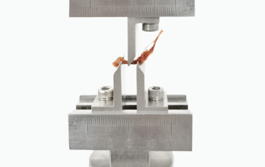 小鼠四點彎力學(xué)疲勞試驗的技術(shù)原理、方法與應(yīng)用