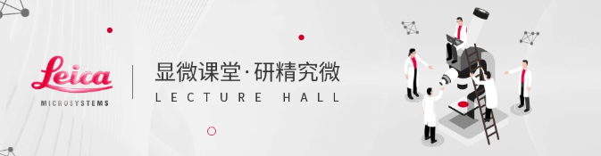 ae0a6a4d-c8c3-46c4-a4d8-4a53d63dc415.png 徠卡半導體應用案例:下游光通信模塊核心尺寸檢測