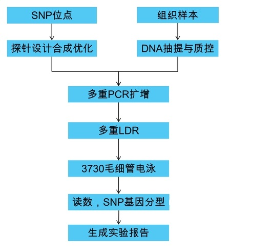 图片1.png 图片1.png
