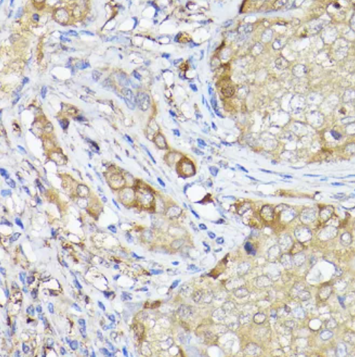 1750386250670880.png QQ_1750386251196.png