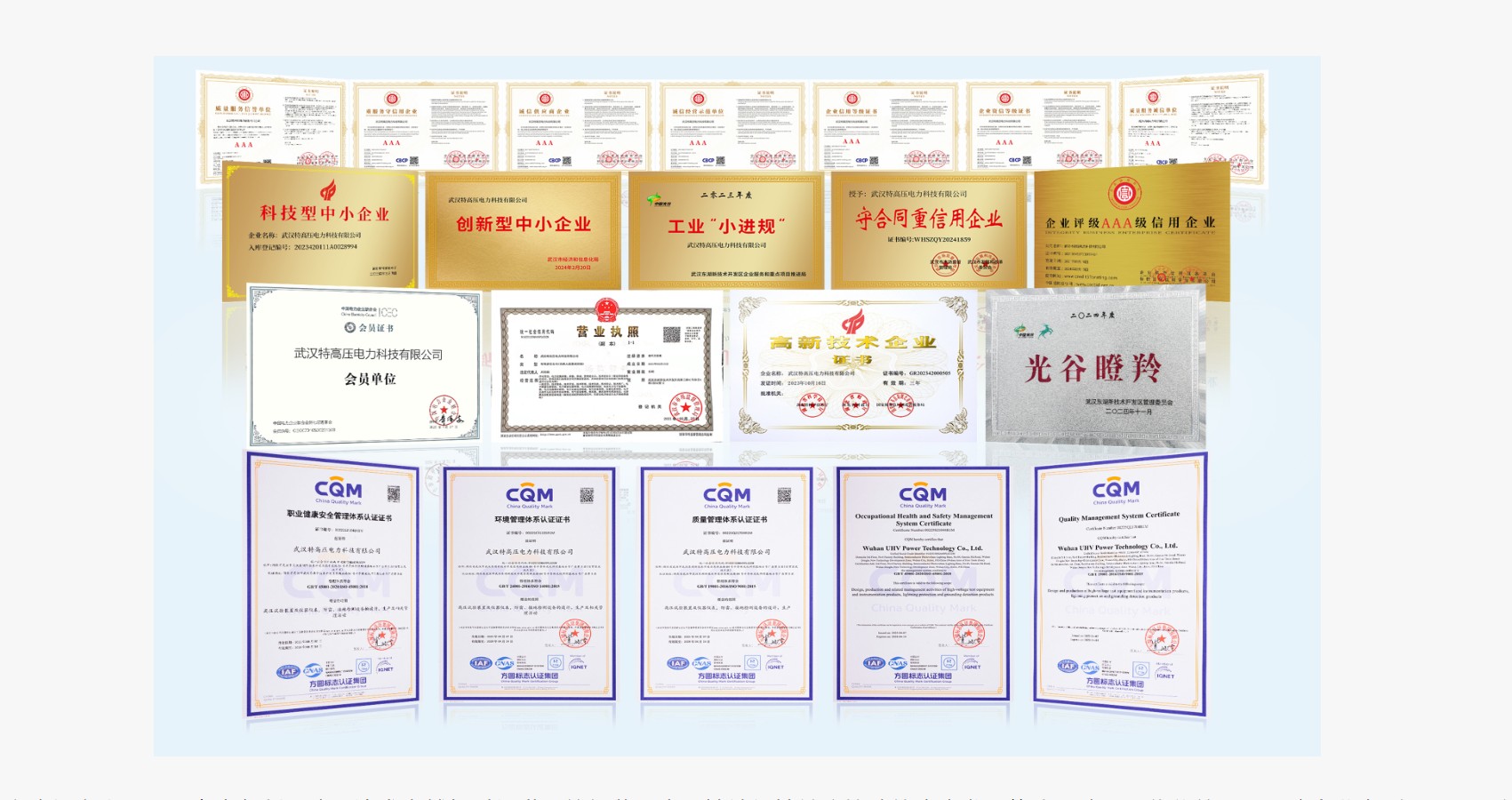 国网严选,全国卖SF6检漏仪的厂家排名?