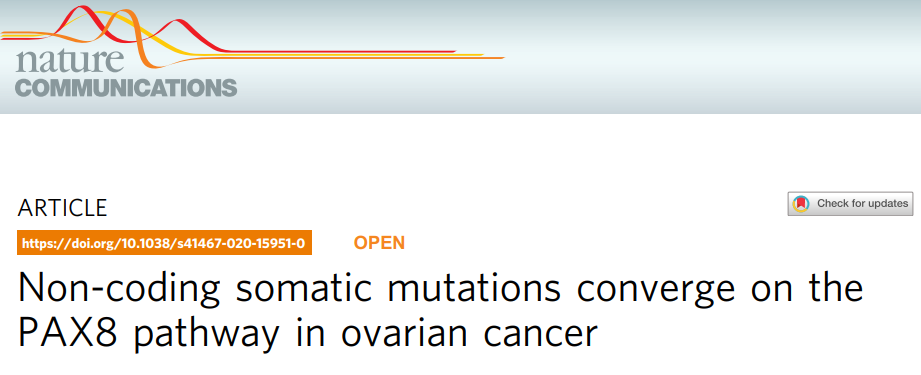 Covaris核酸剪切打断管520166选购指南