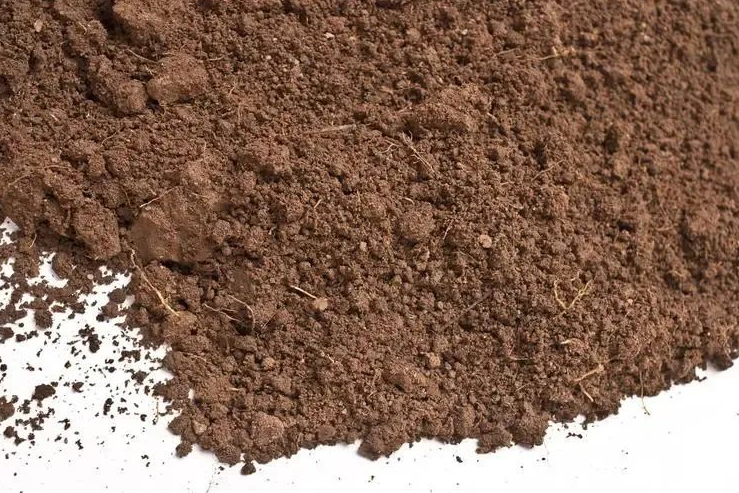 真空冷冻干燥技术在检验检测领域中的应用