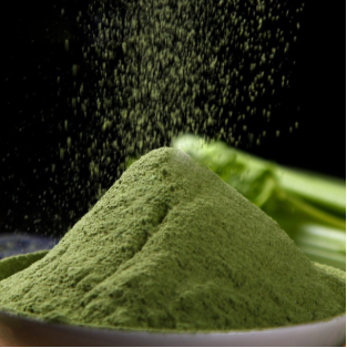 image.png 真空冷冻干燥技术在检验检测领域中的应用