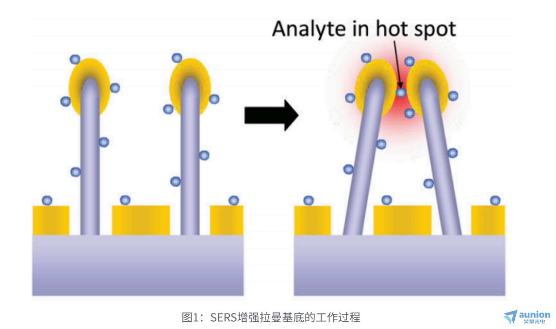 表面增強拉曼襯底 SERStrate——超靈敏分子檢測