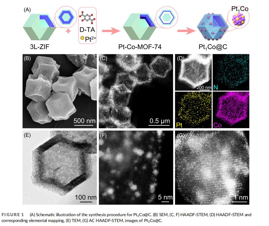 欧世盛全自动加氢仪应用案例：铂原子修饰钴纳米颗粒以提升氧化酯化性能