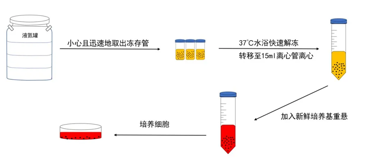 圖片1.png 圖片1.png