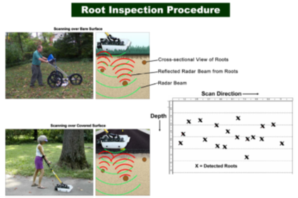 探地識根，以科技守護綠色脈絡：TRU樹木雷達培訓紀實