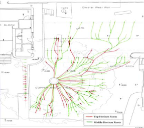 探地識根，以科技守護綠色脈絡：TRU樹木雷達培訓紀實