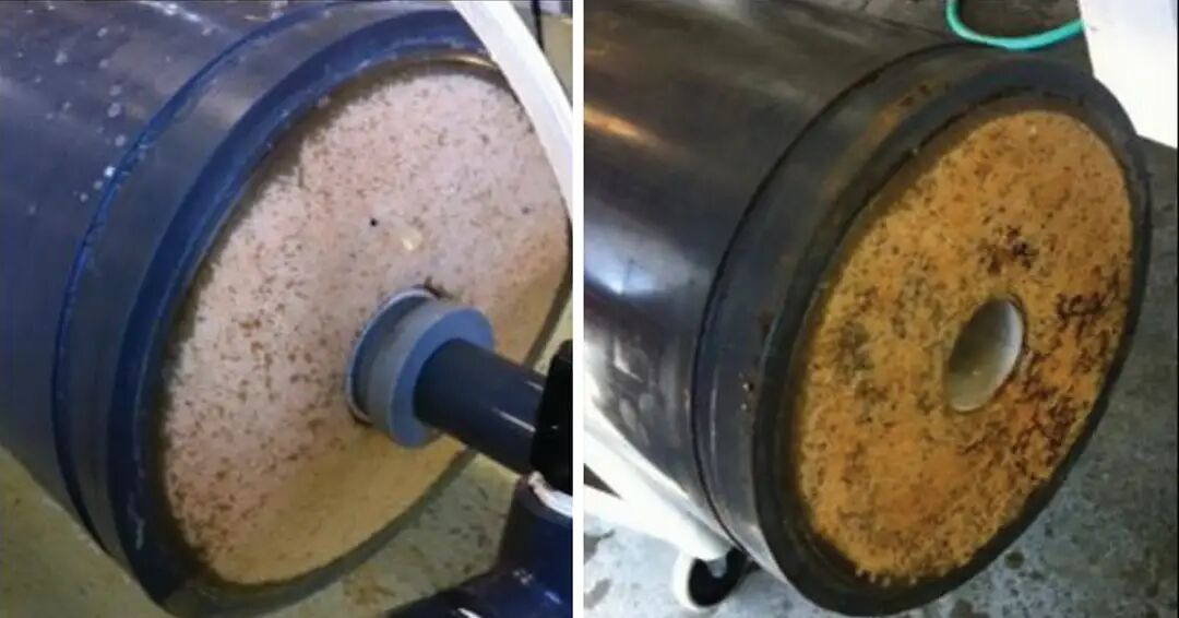 应用 | BactoSense微生物分析仪保障膜系统稳定运行