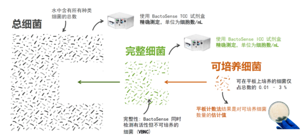 应用 | BactoSense微生物分析仪保障膜系统稳定运行