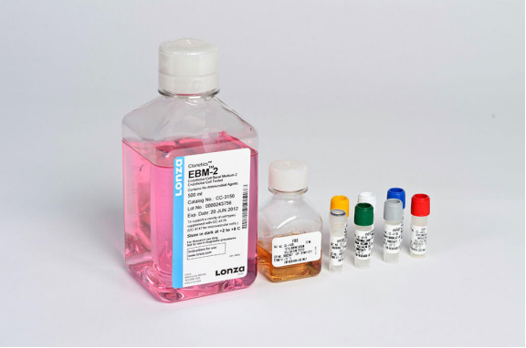 LONZA原代人心臟微血管內(nèi)皮細胞HMVEC-C 產(chǎn)品介紹