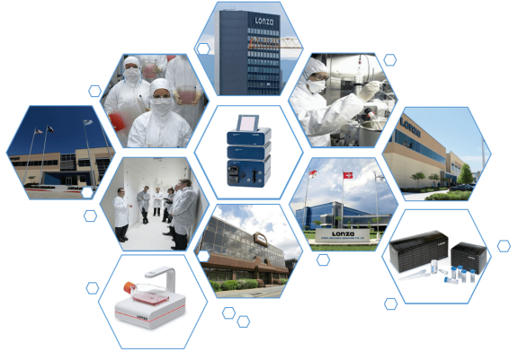 LONZA原代人心臟微血管內(nèi)皮細胞HMVEC-C 產(chǎn)品介紹