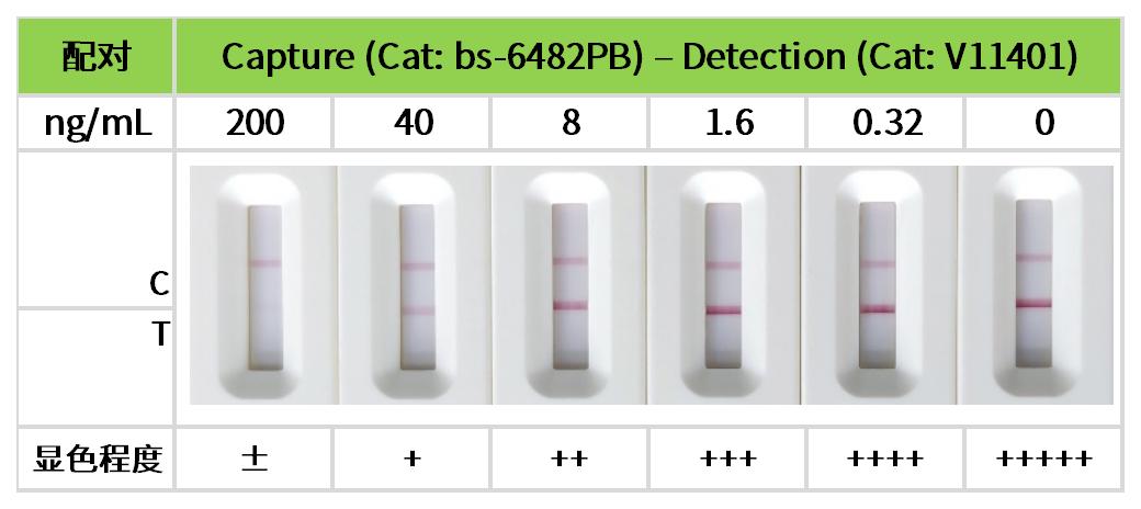 工作簿1_4.jpg 重點推薦 | 藥物小分子檢測相關配對抗體!
