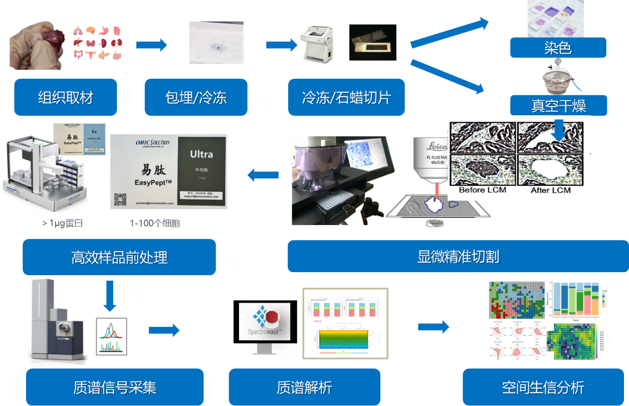 6390622565958328695656679