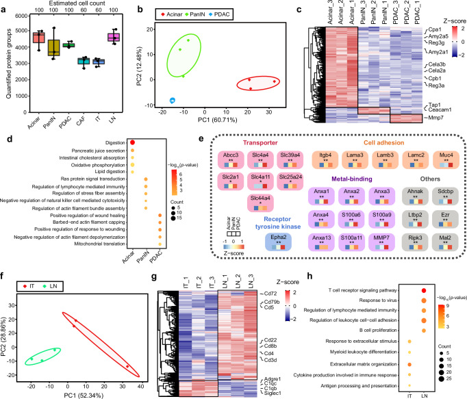 6390622566981770774731240