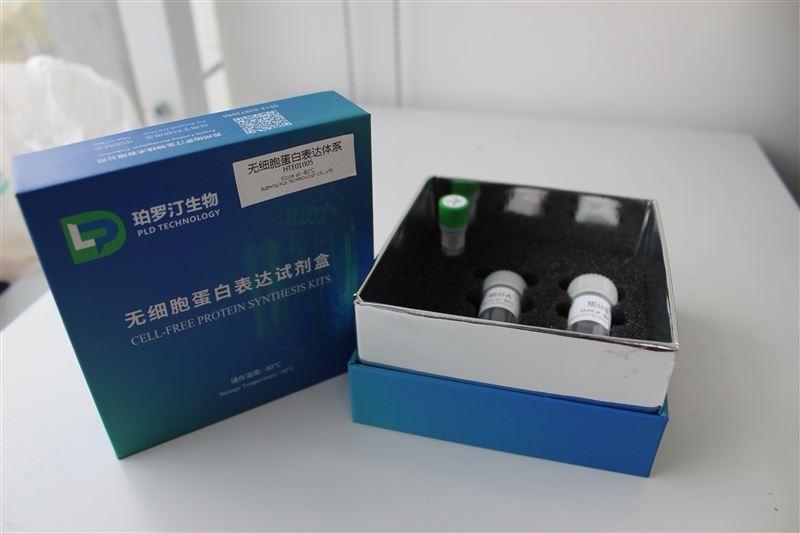 無細胞蛋白表達系統