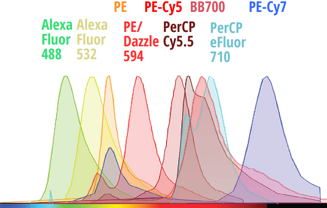c06c90c3f84be54d70f40a6e3268782d.png