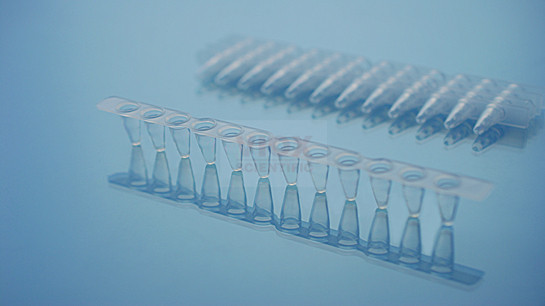 0.1ml PCR十二聯(lián)管  透明 .png