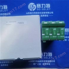 PIECAL 熱電偶溫度校驗儀