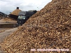 檢測生物質顆粒燃料熱值大卡用什么儀器