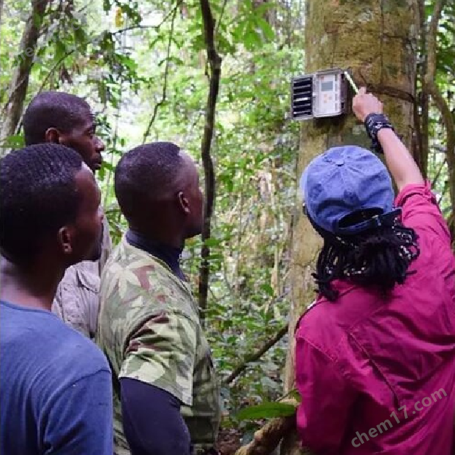野外動物聲音收錄儀