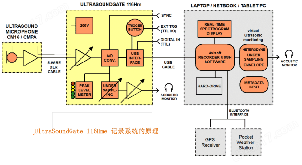 便携式动物超声声音录制仪（移动）