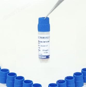 細胞332-335.jpg 綿羊外周血單個核細胞 Sheep PBMC