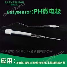 100μm玻璃末端pH微電極 土壤水體無損監測