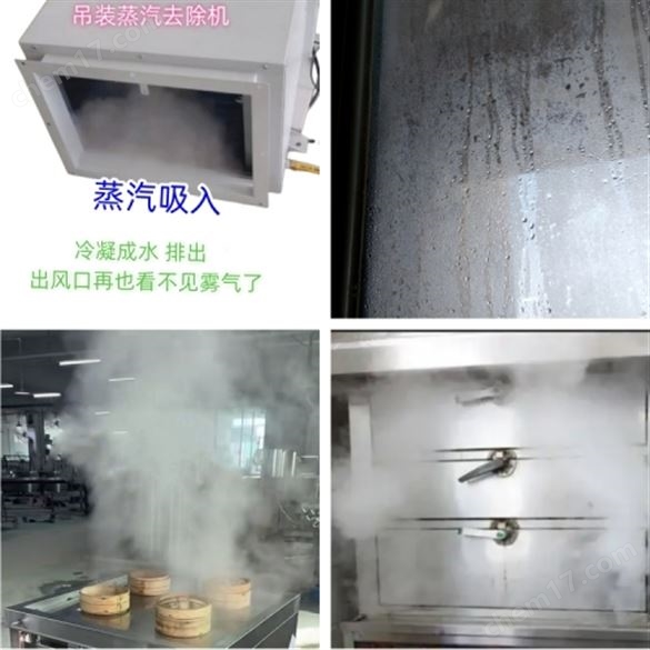 水餃店蒸汽怎么處理?餃子館蒸汽去除機