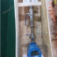 熱式氣體質(zhì)量流量計(jì)有什么廠家